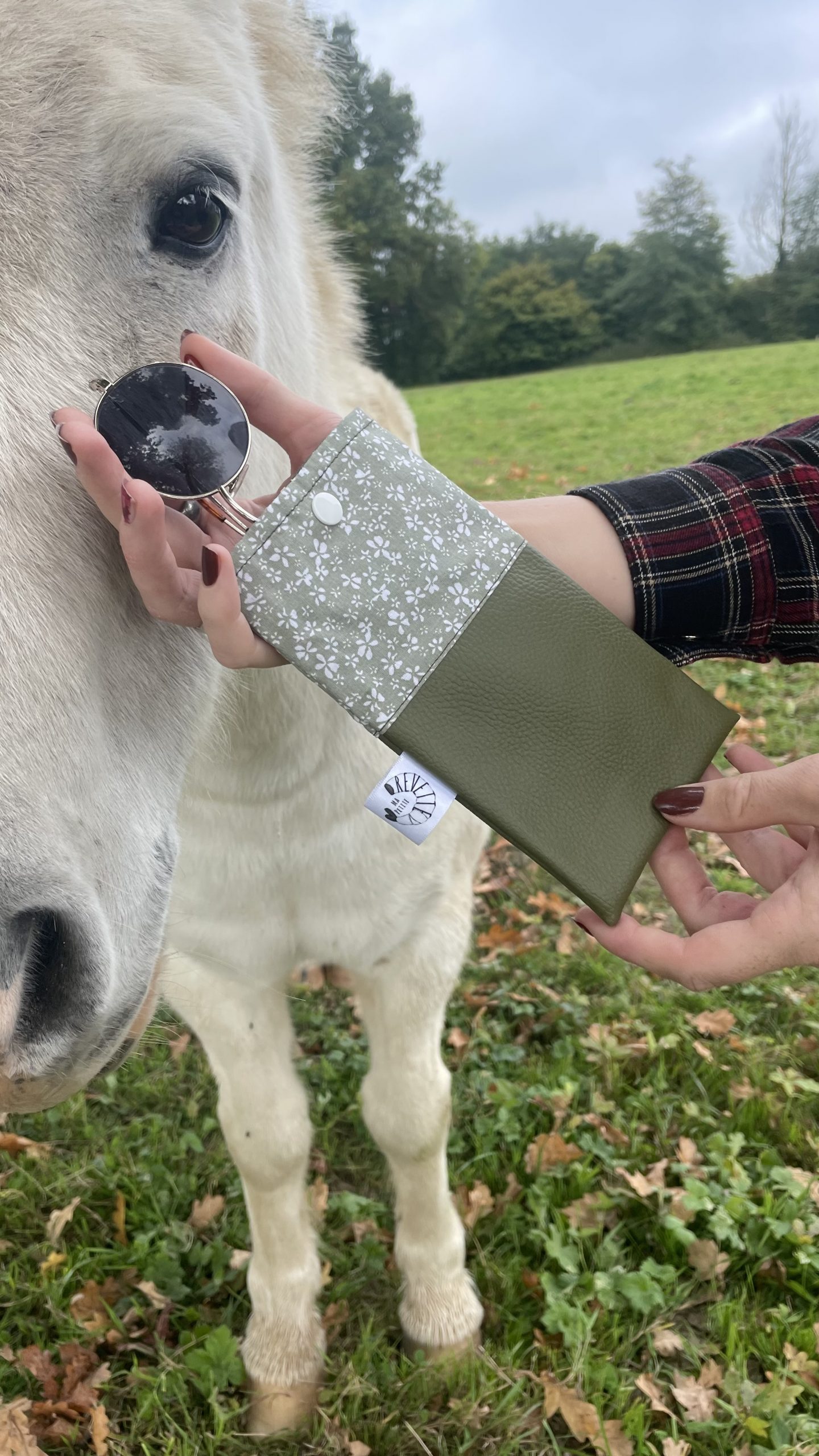 LES JOLIS ÉTUIS D’AUTOMNE – Image 8